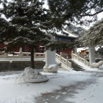 Courtyard in the snow