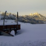 Force and cart in the snow